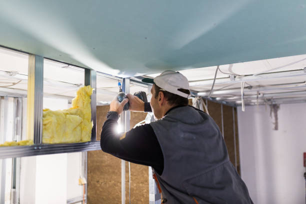 Best Home Insulation Services  in Mount Holly, NC