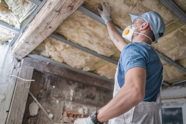Best Residential Insulation Services  in Mount Holly, NC