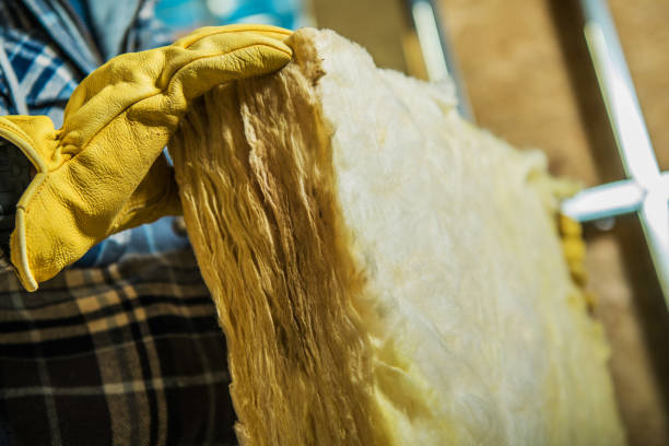 Best Cellulose Insulation  in Mount Holly, NC