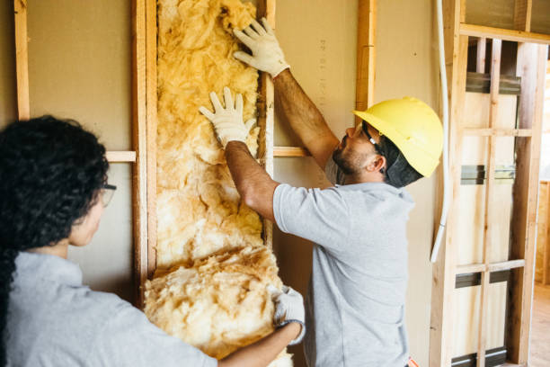 Best Garage Insulation Installation  in Mount Holly, NC