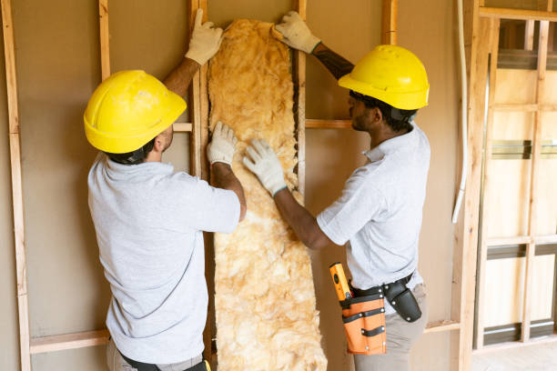 Best Insulation Removal  in Mount Holly, NC
