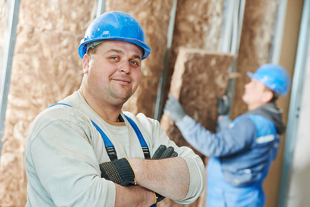 Best Attic Insulation Installation  in Mount Holly, NC